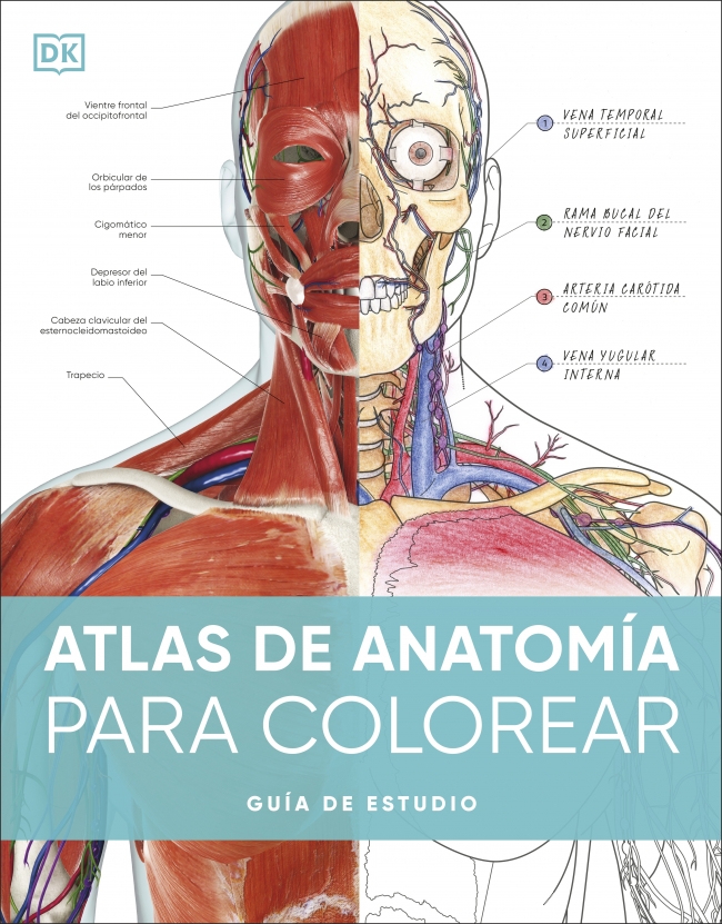 El cuerpo, una historia por partes