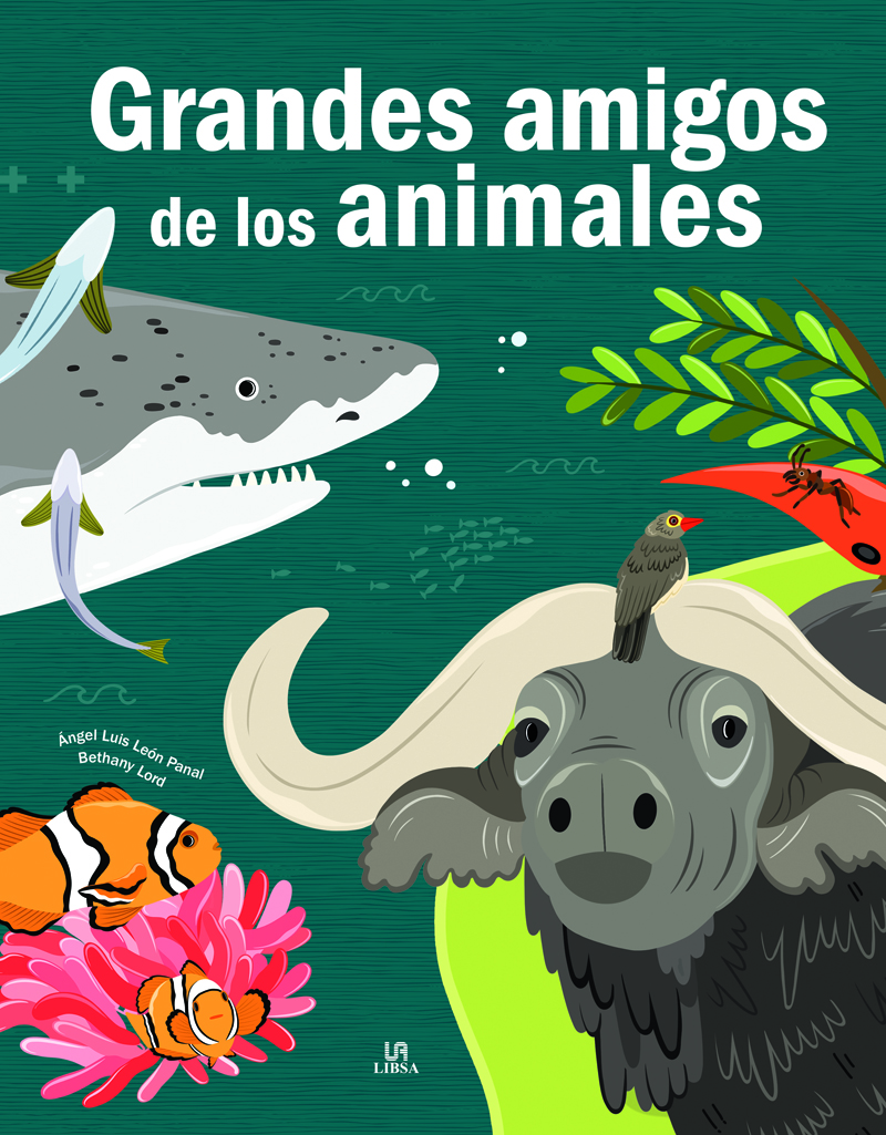 Arta Game 7 - ARTA en la isla máxima
