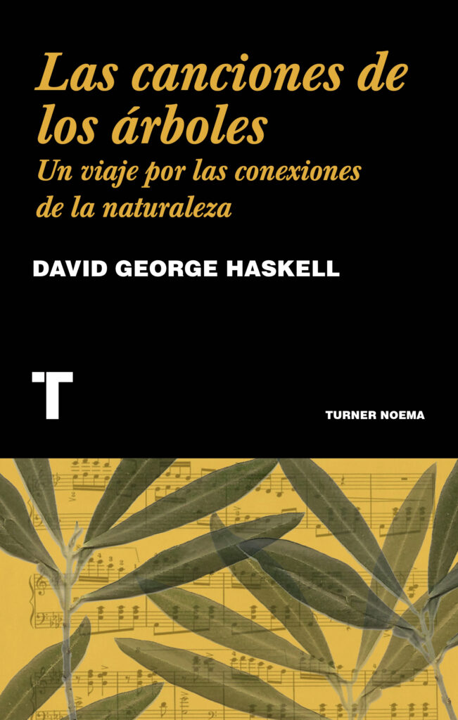 Plantas valencianas