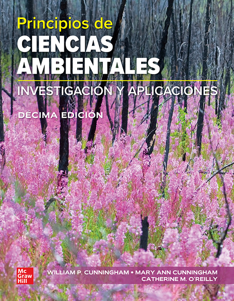 DERECHOS HUMANOS BUNDLE