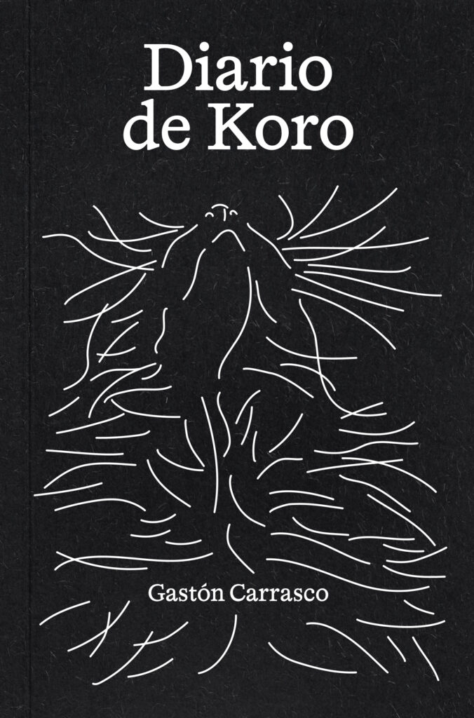 Días sin rostro