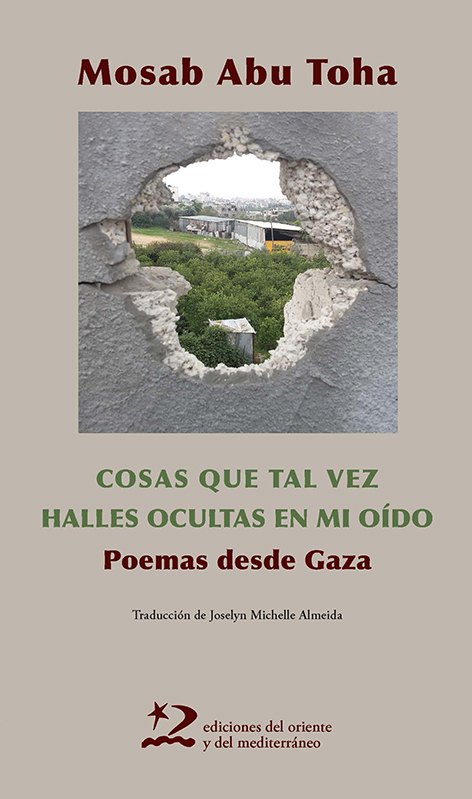 Elegies de pedra trencadissa