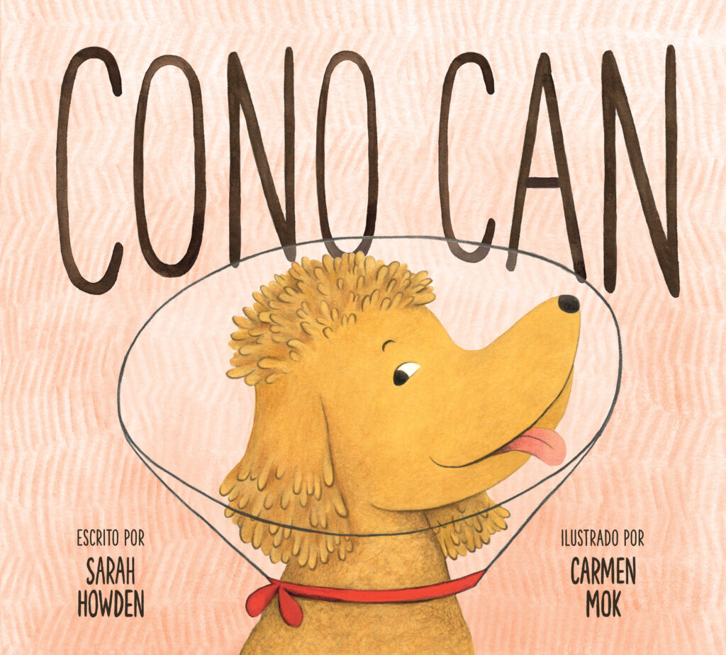 Gato Cono