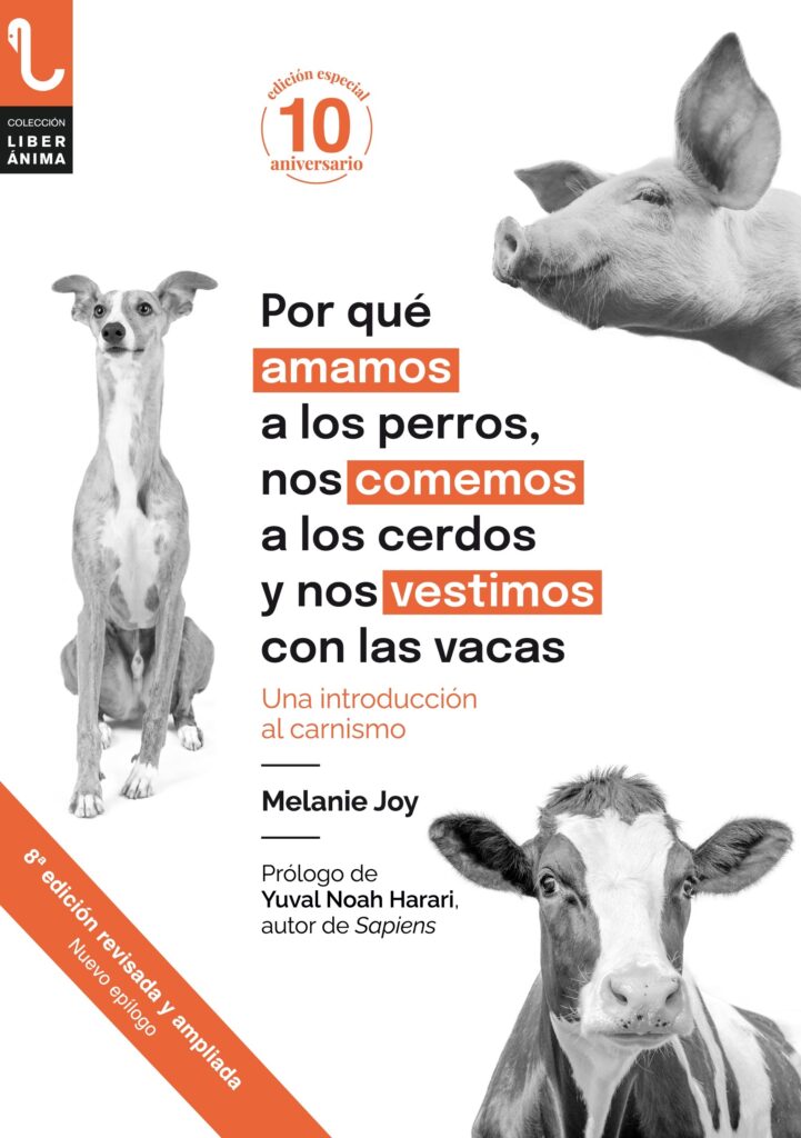 Juventud y cine