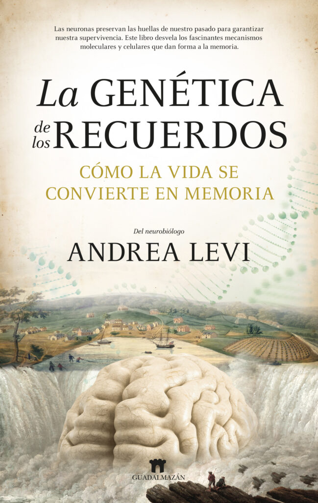 Borges y la memoria