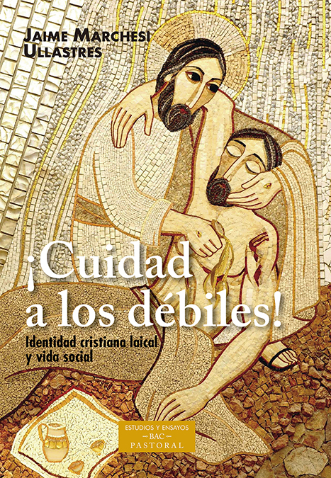 ¡Cuidad a los débiles! Identidad cristiana laical y vida social ¡Cuidad a los débiles! Identidad cristiana laical y vida social