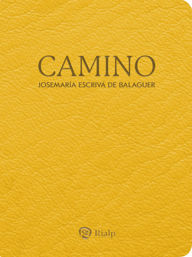 Camino (bolsillo, piel sintética)