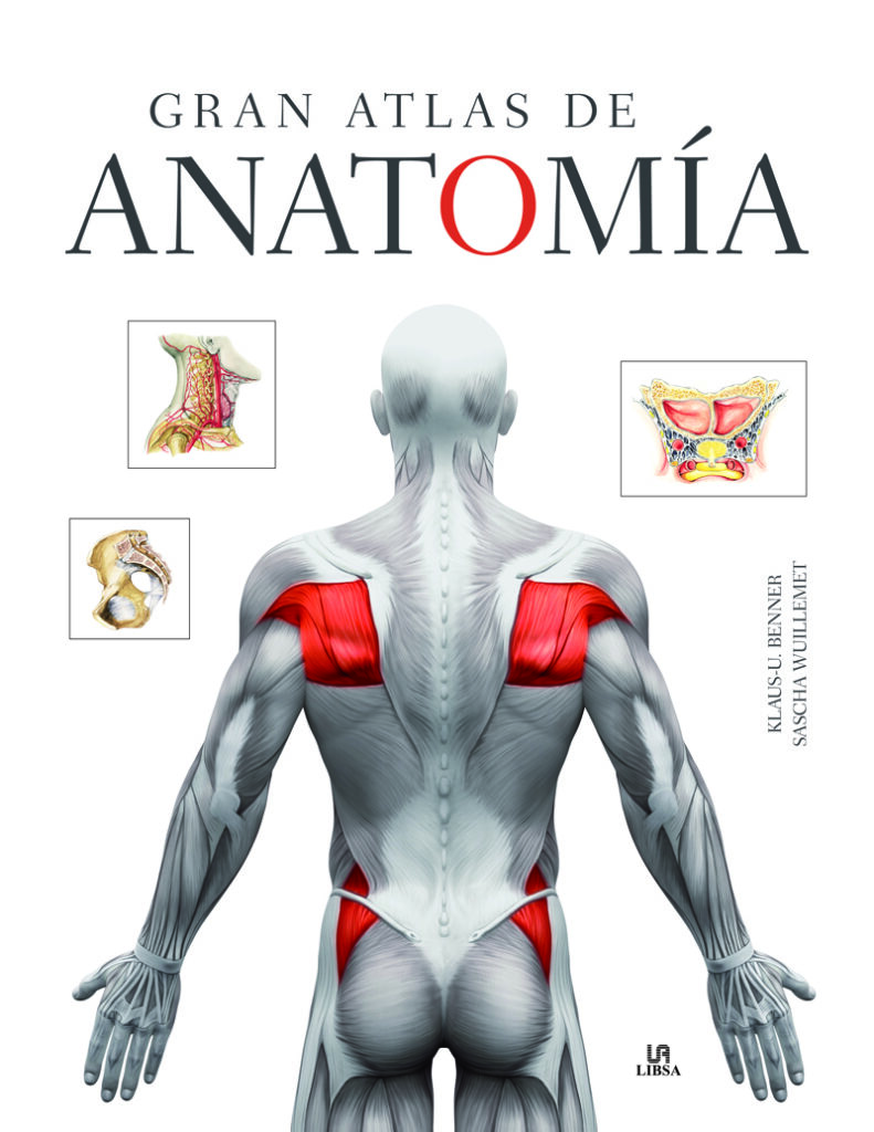 Cómo funciona el cuerpo humano