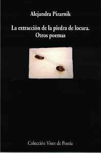 La insistencia de las cosas