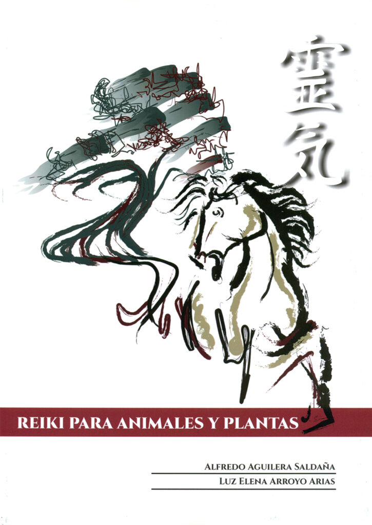 REIKI, EL CAMINO DEL CORAZON