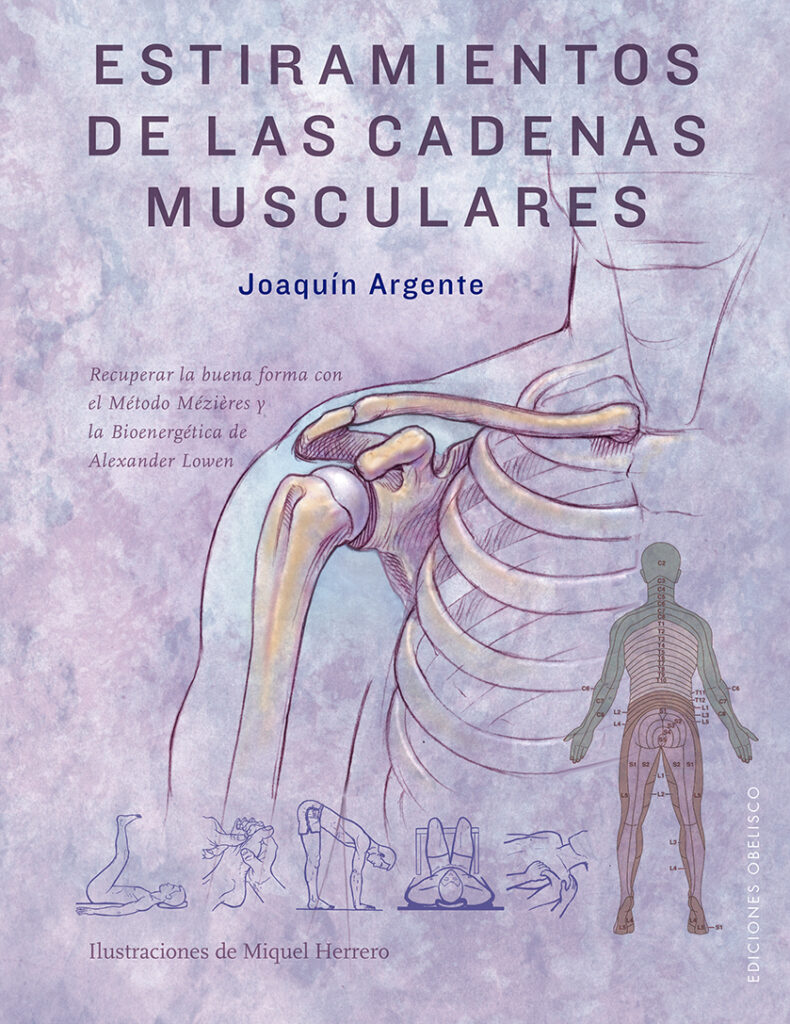 Estiramientos de las cadenas musculares Estiramientos de las cadenas musculares