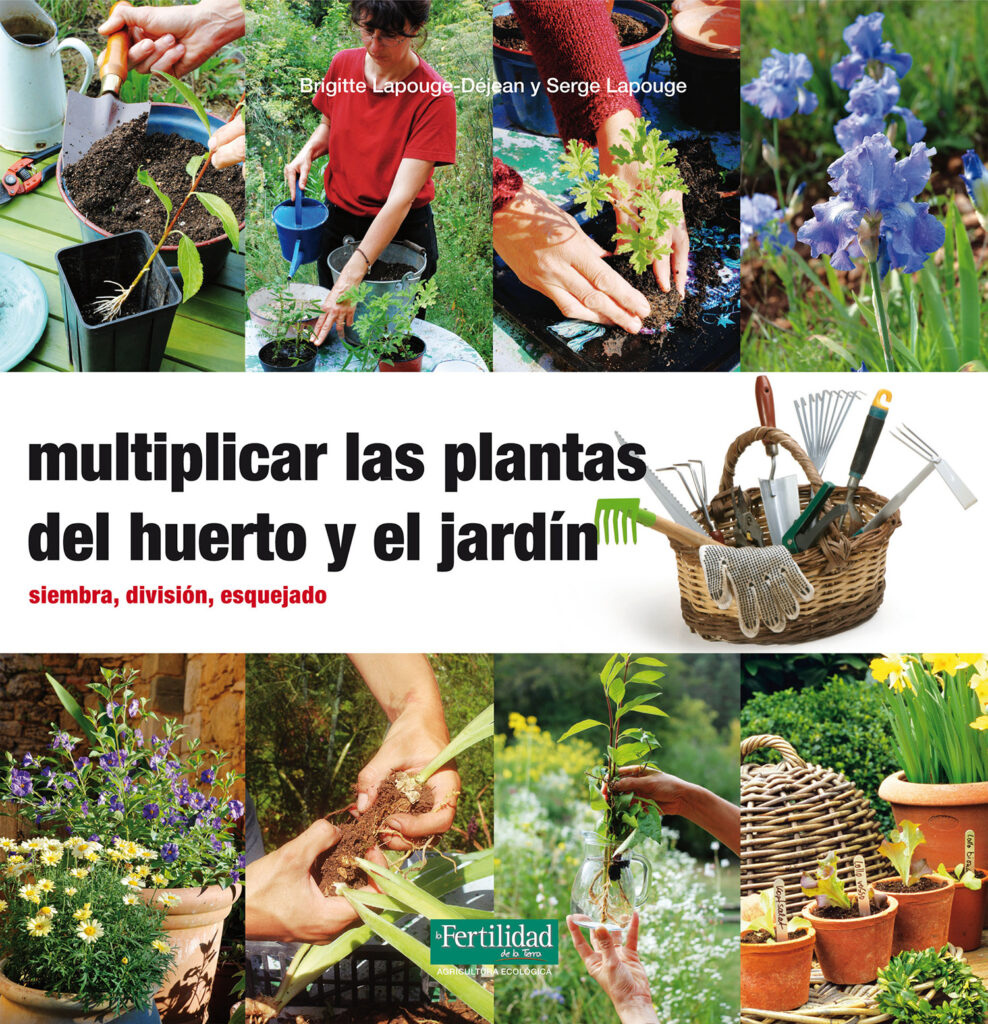Cocinar con plantas silvestres