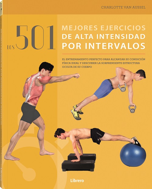 Anatomia de las articulaciones
