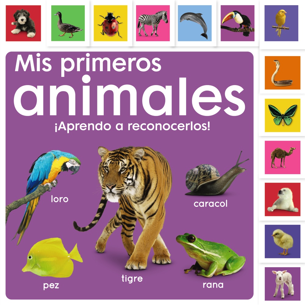 Mi libro mágico de dibujo. Dinosaurios