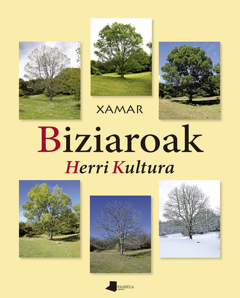 Leitzako dorreak