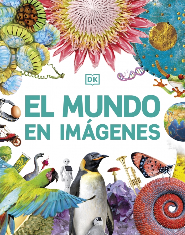 Cómo funcionan las cosas