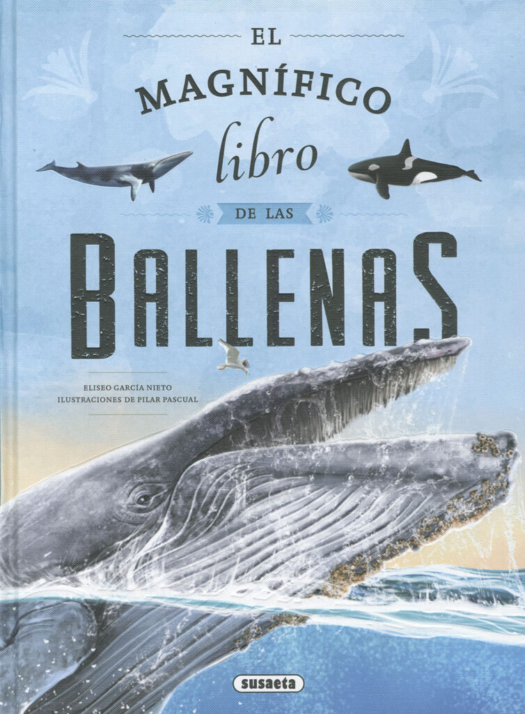 Descubre el océano