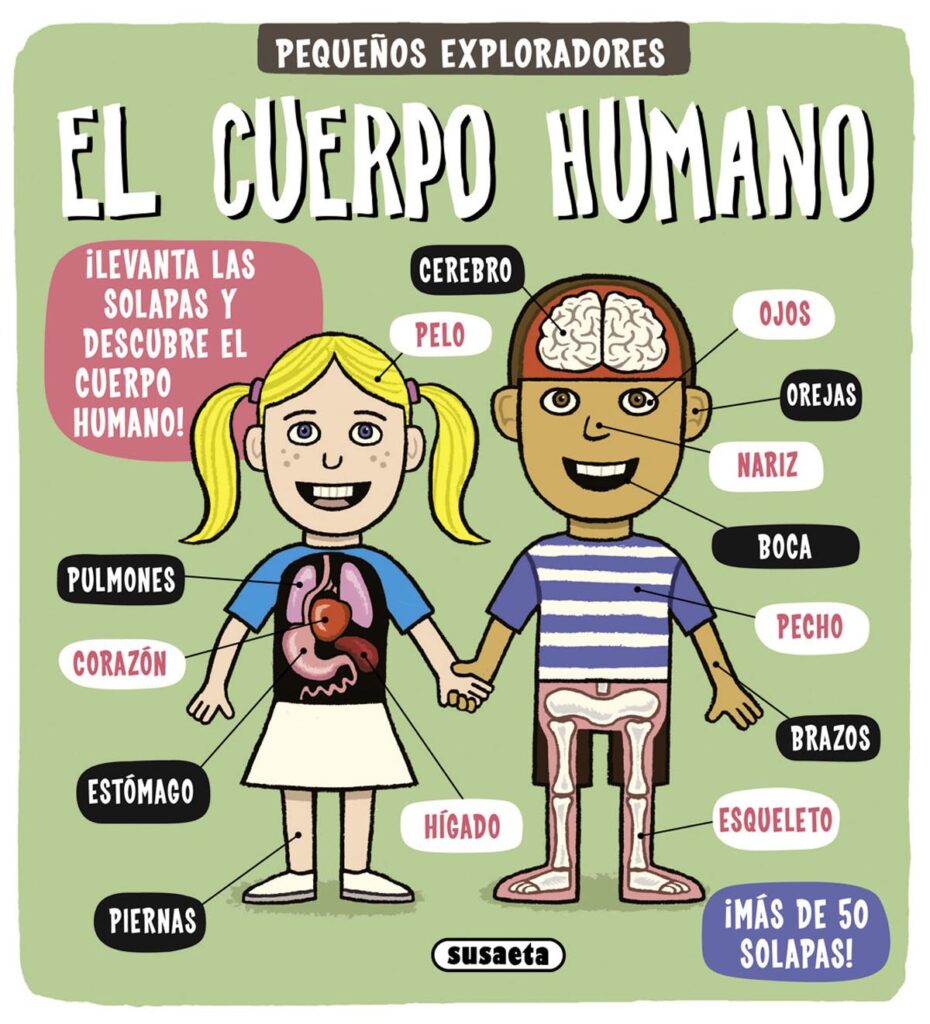 Taller de arte infinito - Plastilina