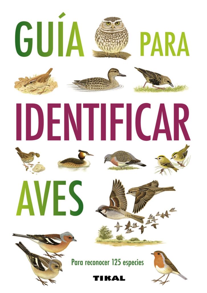 La alimentación de su pájaro
