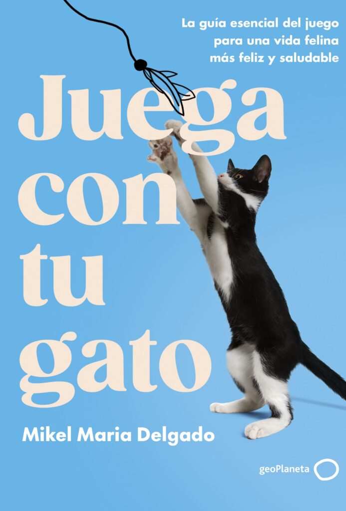 Juega con tu gato Juega con tu gato