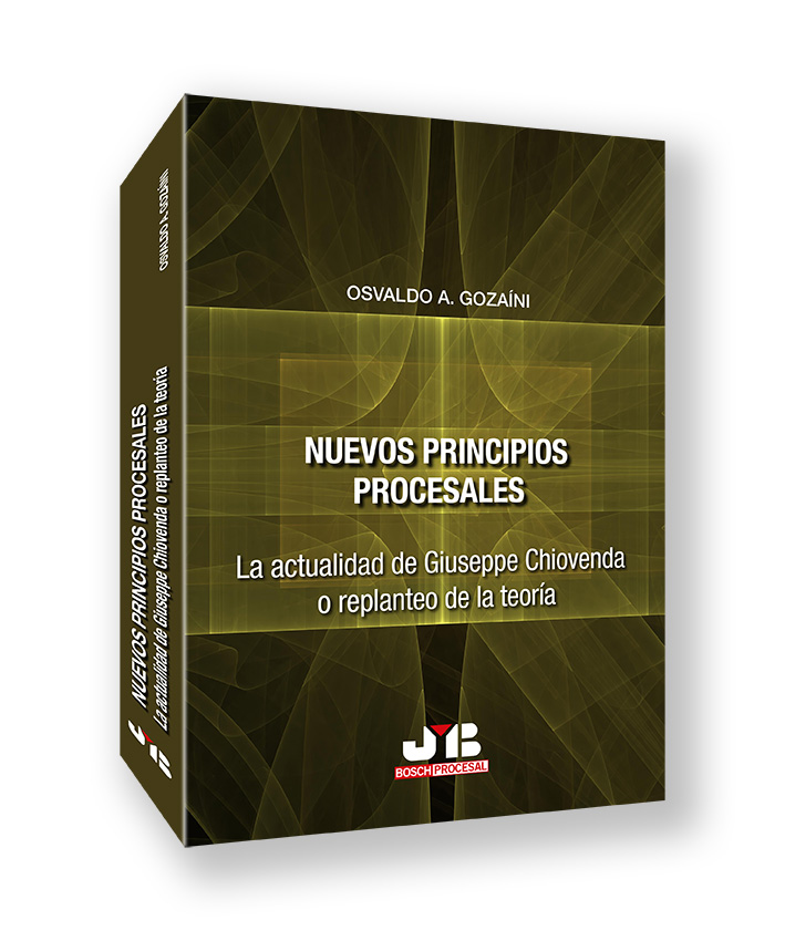 Nuevos principios procesales