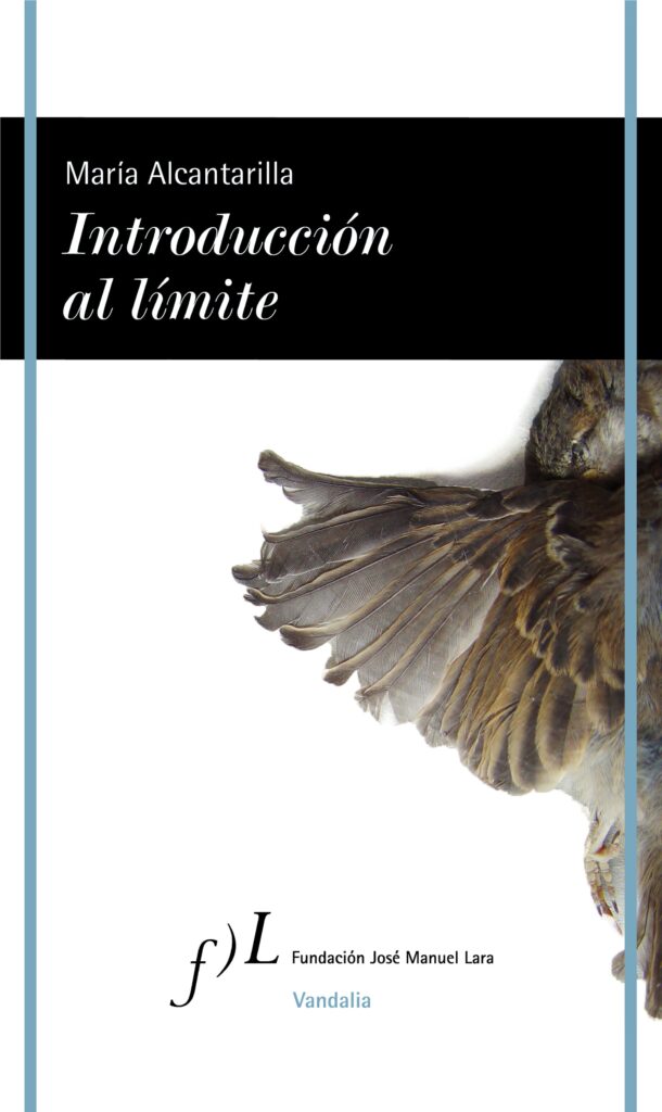 Manual de infractores