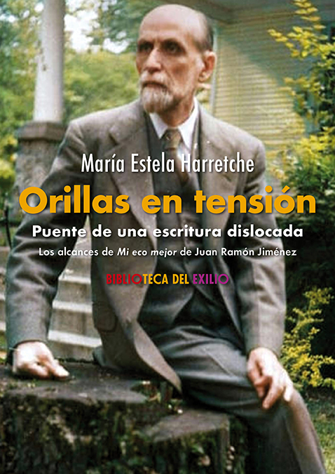 Orillas en tensión. Puente de una escritura dislocada