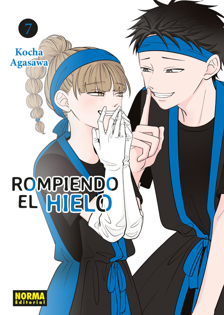 SOUL EATER PERFECT EDITION 06