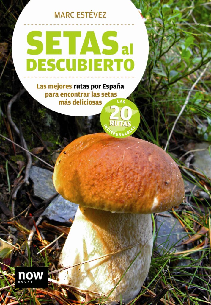 Rutas montañeras a ermitas