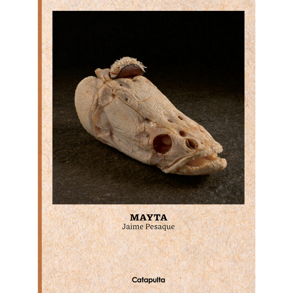 Mayta