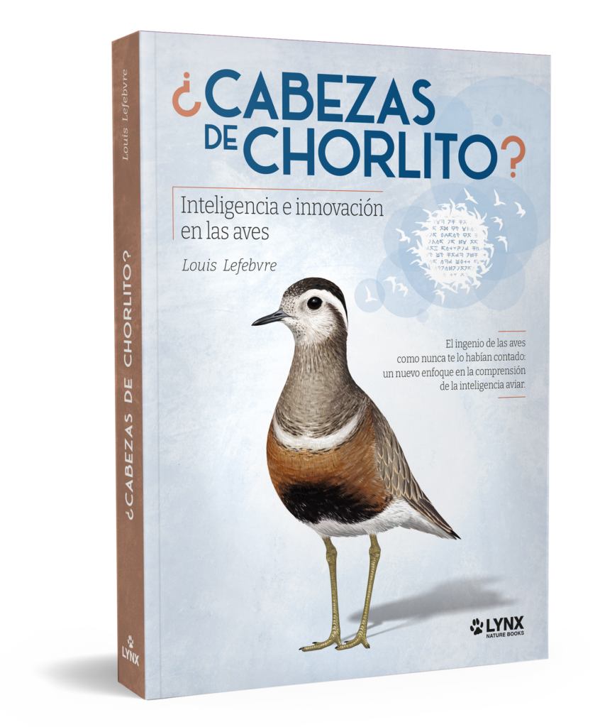 ¿Cabezas de chorlito?