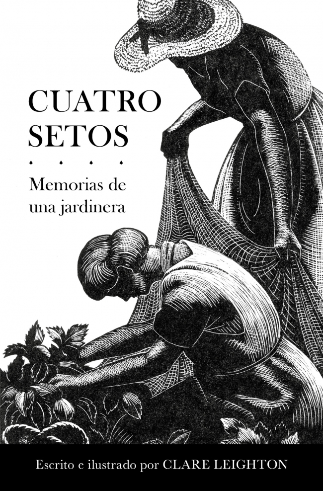 Mis días y mis sueños