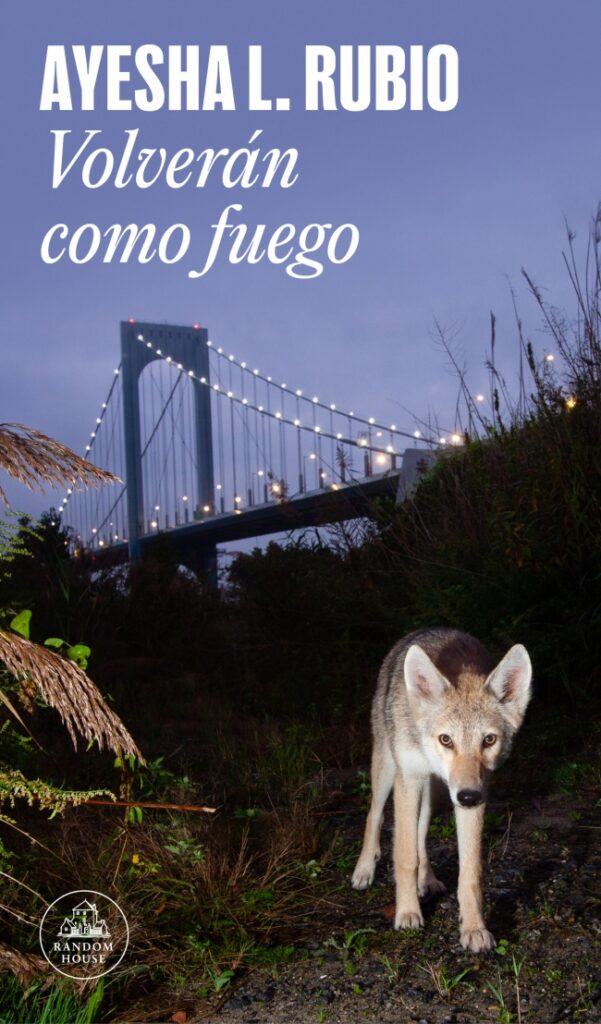 Bukele, el rey desnudo