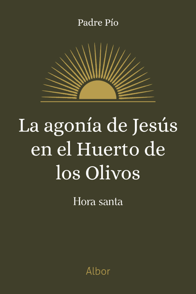 Comienzos de la Compañía de Jesús en Zaragoza