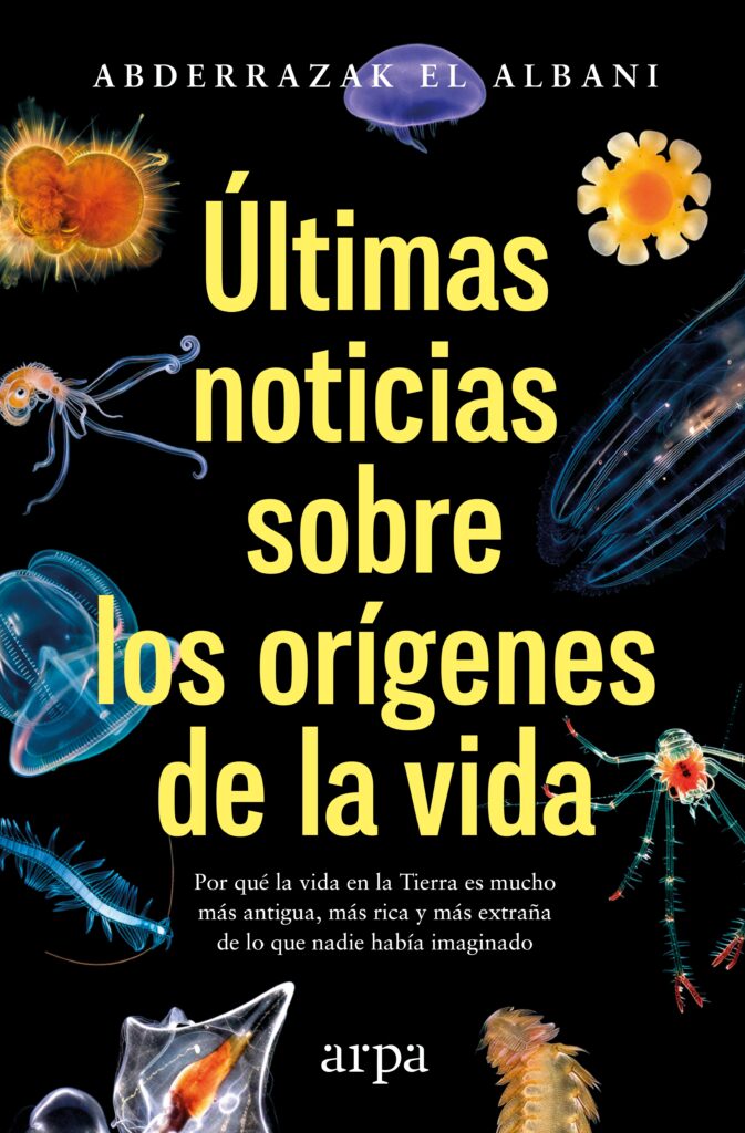 Números surreales