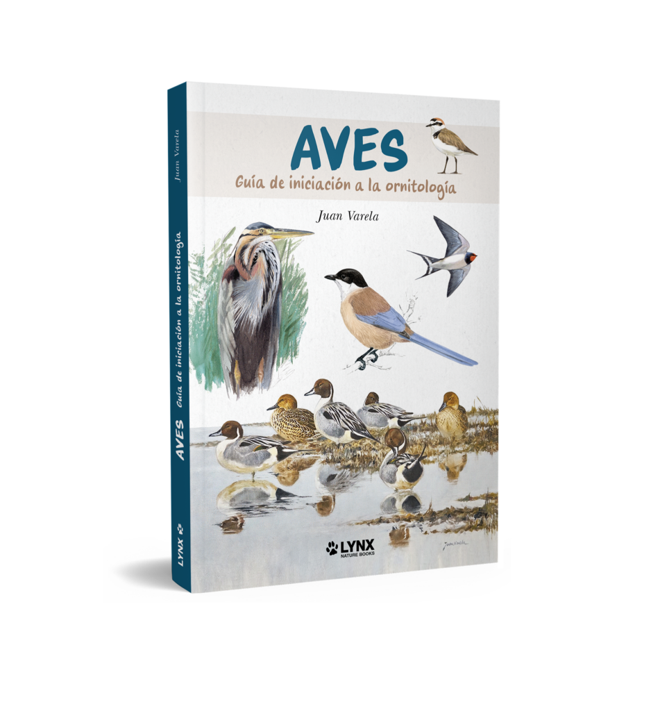 Aves Aves
