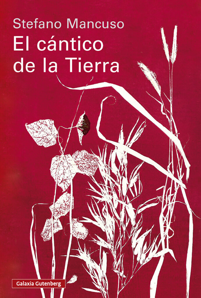 Últimas noticias sobre los orígenes de la vida
