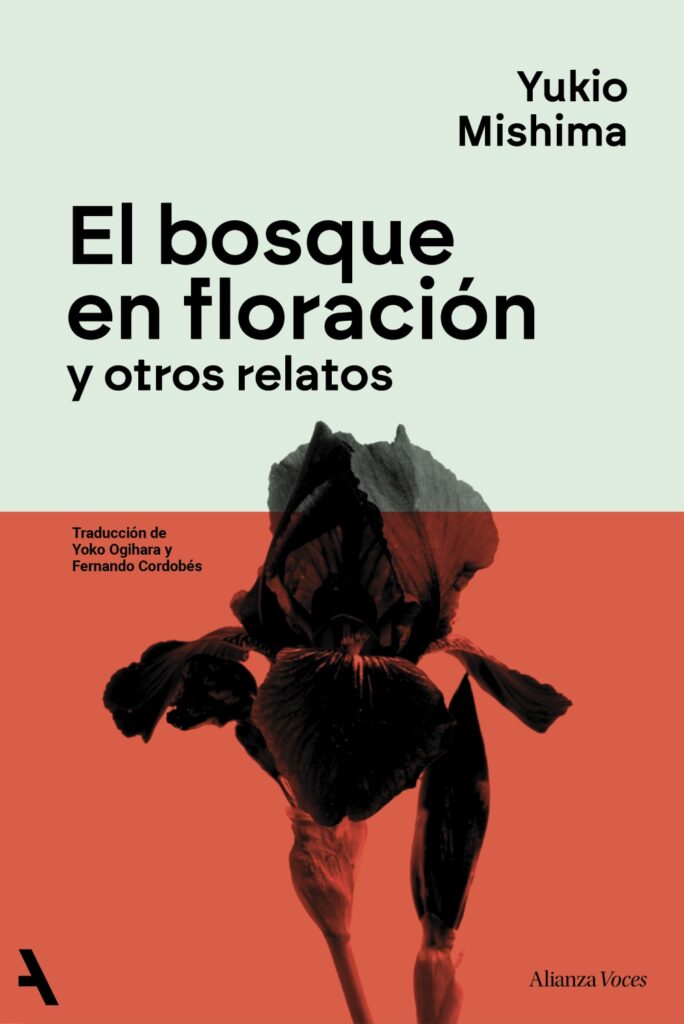 Corredores de sombra