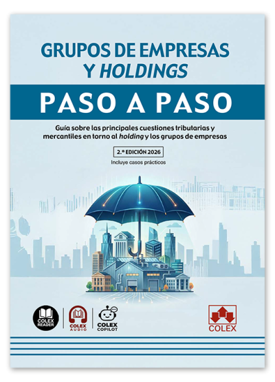 Grupos de empresas y holdings. Paso a paso